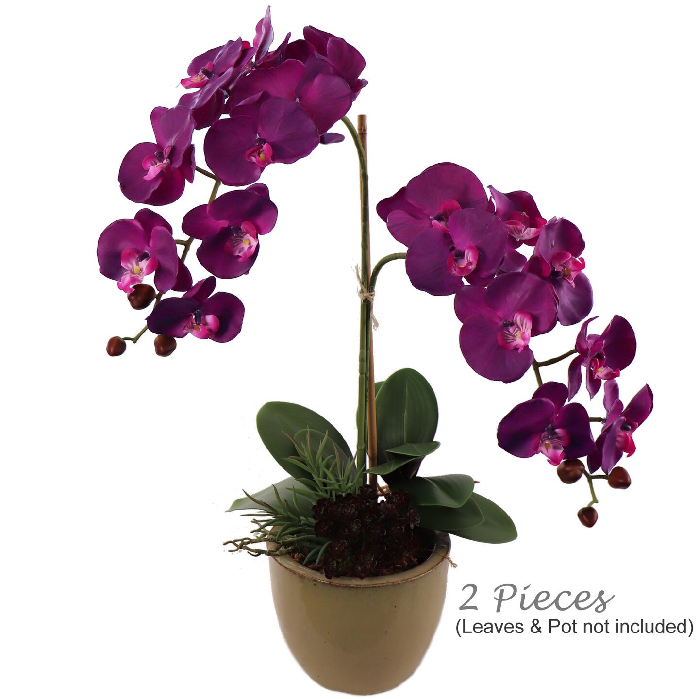 Real Touch Phalaenopsis Orchid Stem: Set of 2, 33.5-Inch, Floral Home by Artificial Flowers