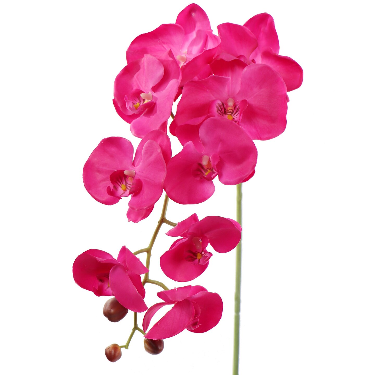 Real Touch Phalaenopsis Orchid Stem: Set of 2, 33.5-Inch, Floral Home by Artificial Flowers