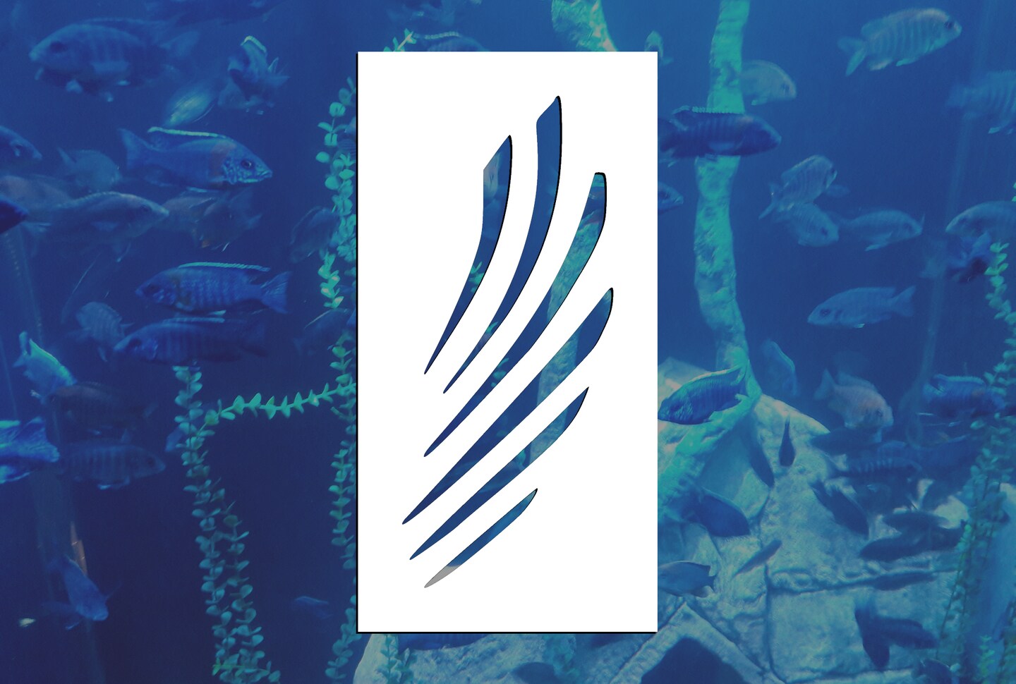 Mermaid or Fish Fin Reusable Stencil (Many Sizes) | MakerPlace by Michaels