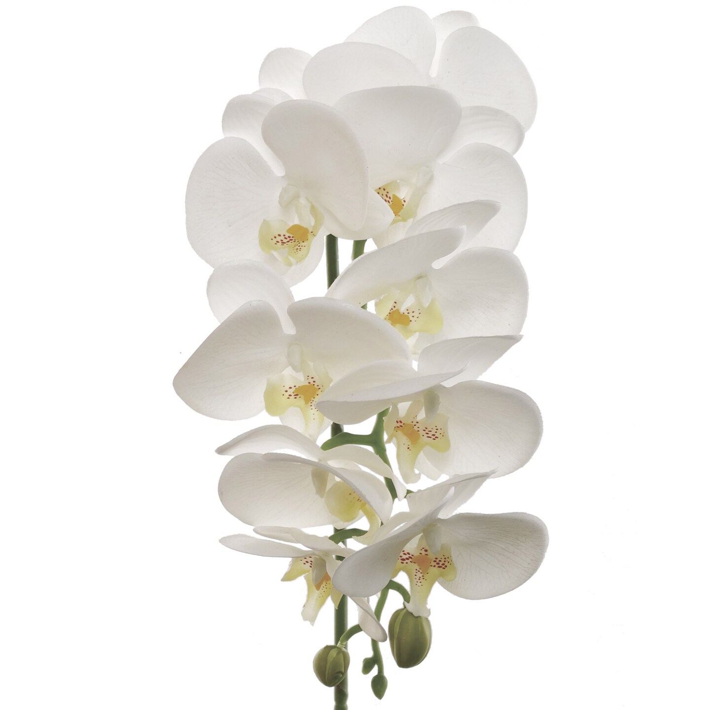 31" White Phalaenopsis Orchid Stem Realistic Silk Blooms, Elegant