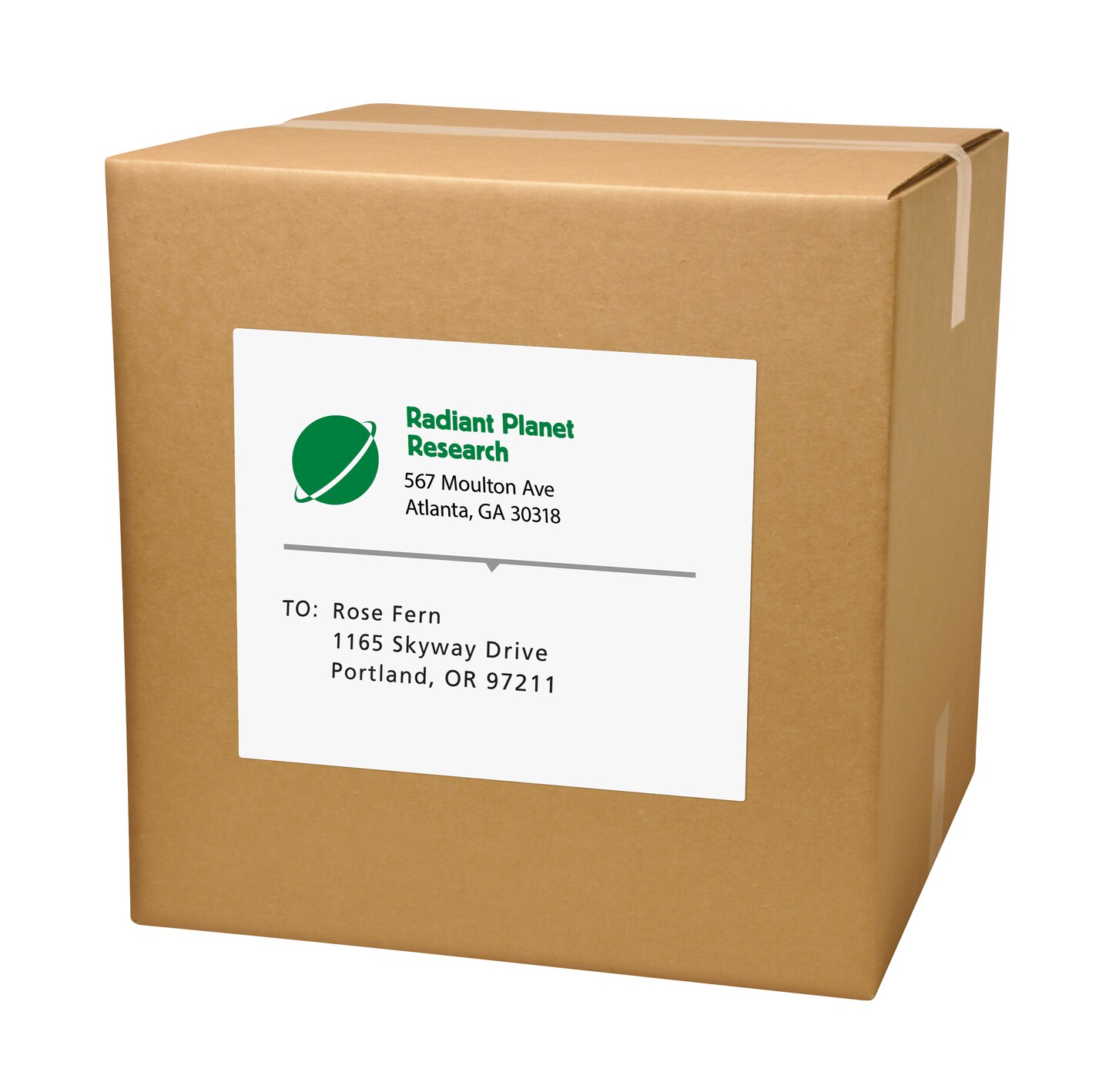 Avery Shipping Address Labels, Laser Printers, 500 Labels, Full Sheet Labels, Permanent Adhesive (91200)