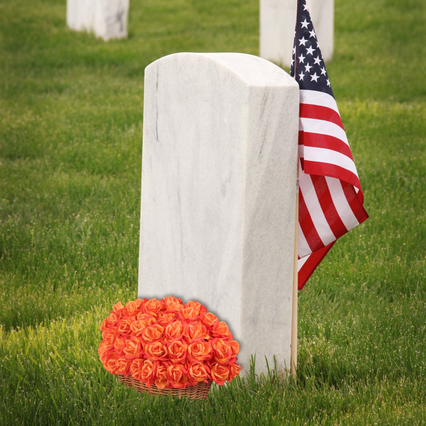 100-Pack: Orange Silk Rose Picks, 8" Stems, 3" Wide by Floral Home®