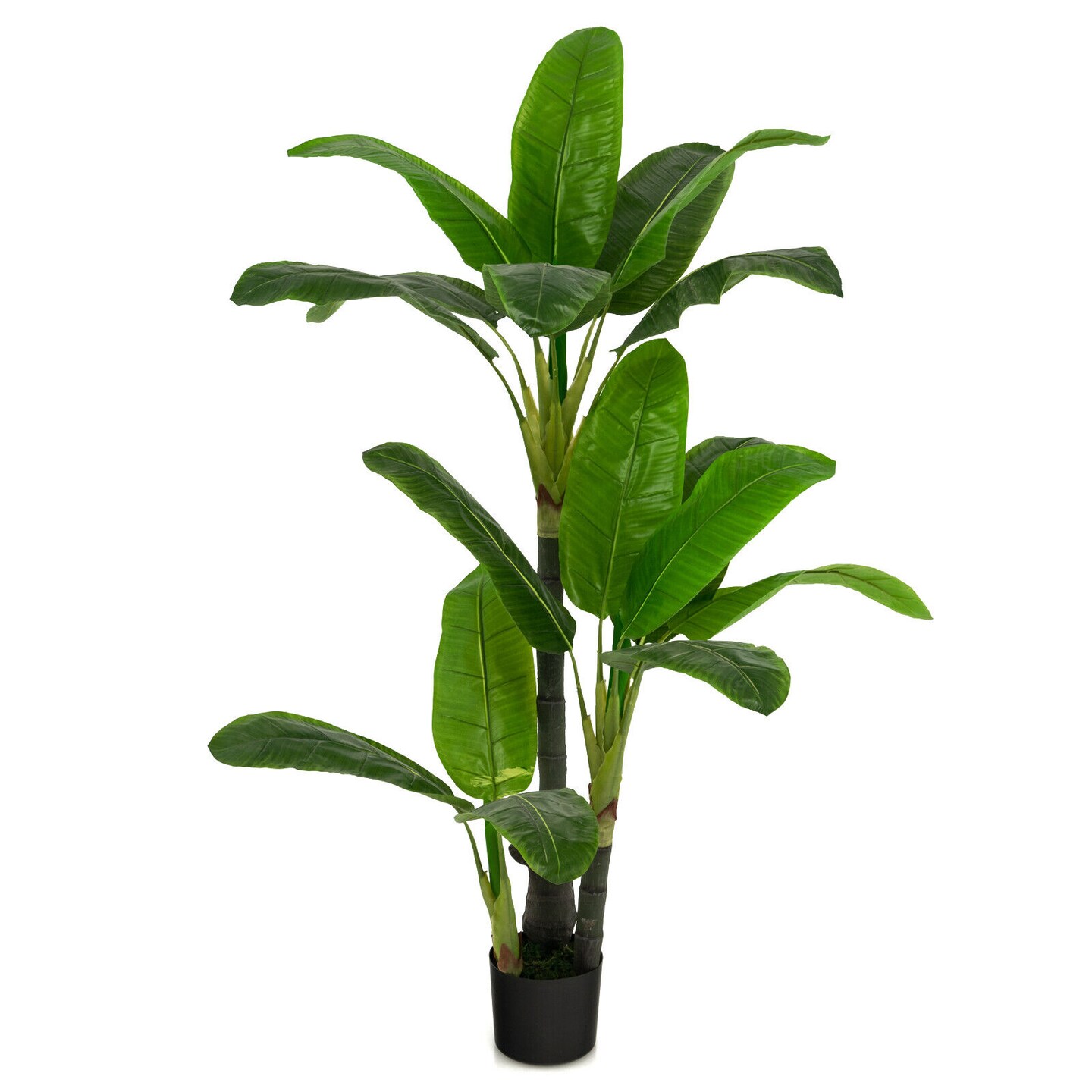5 Feet Artificial Tree with 18 Large Leaves Perfect for Indoor-Outdoor Decor