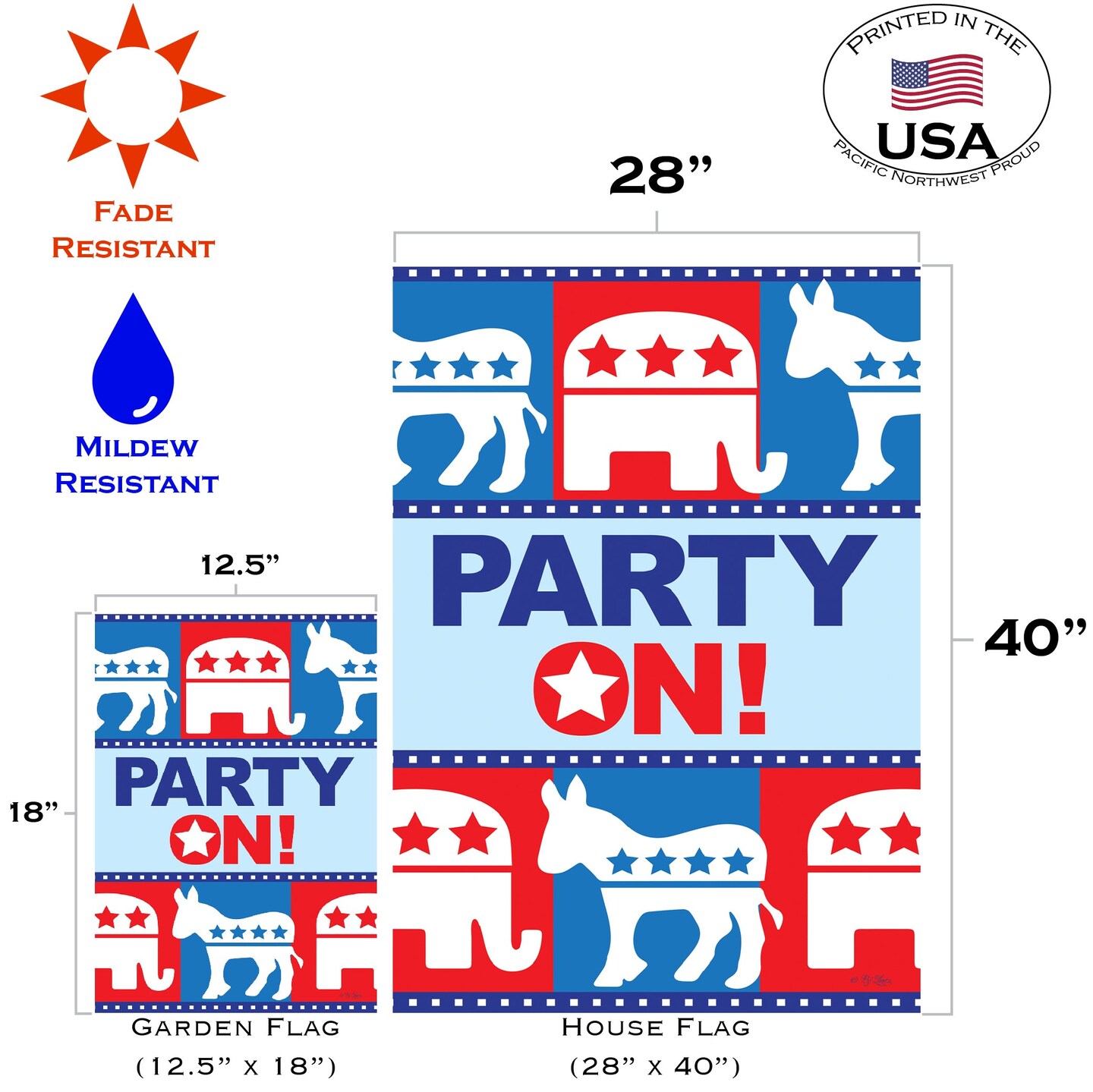 Party On Decorative Political Flag