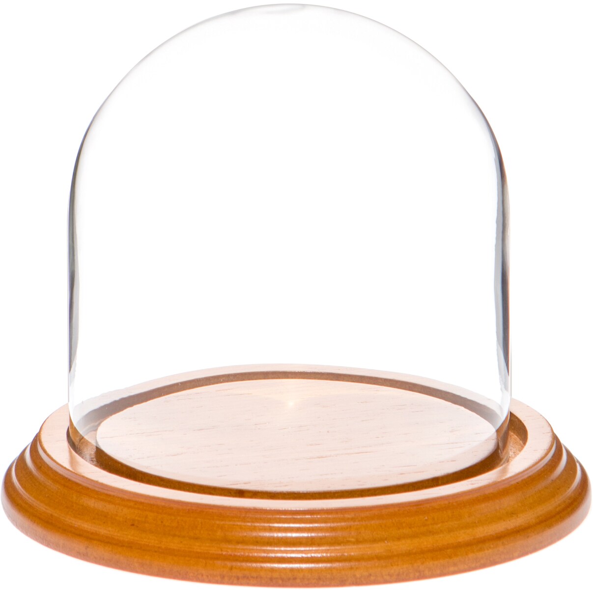 Plymor 4" x 4" Glass Display Dome Cloche Michaels