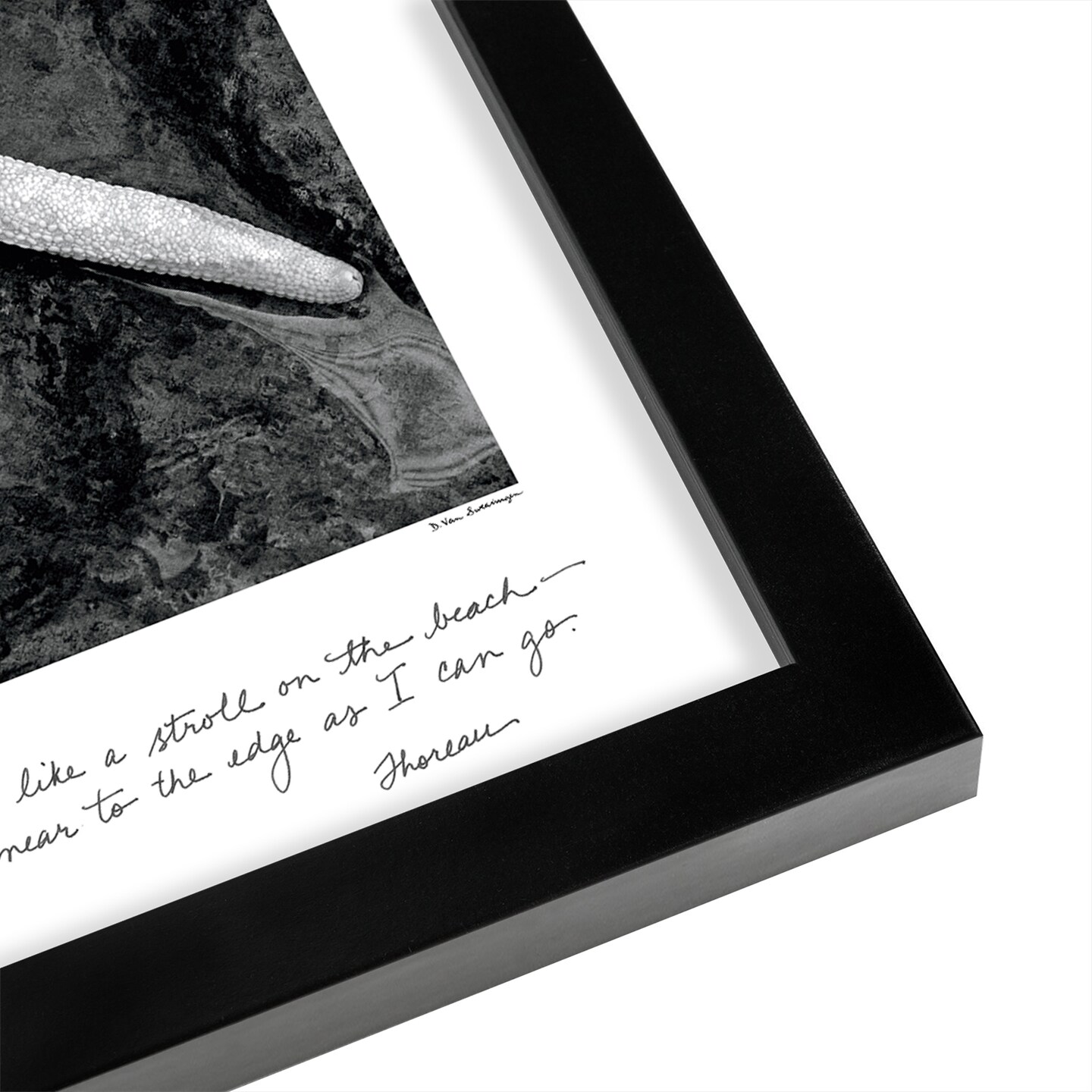 Explore by Debra Van Swearingen Black Framed Print 8x10 - Americanflat