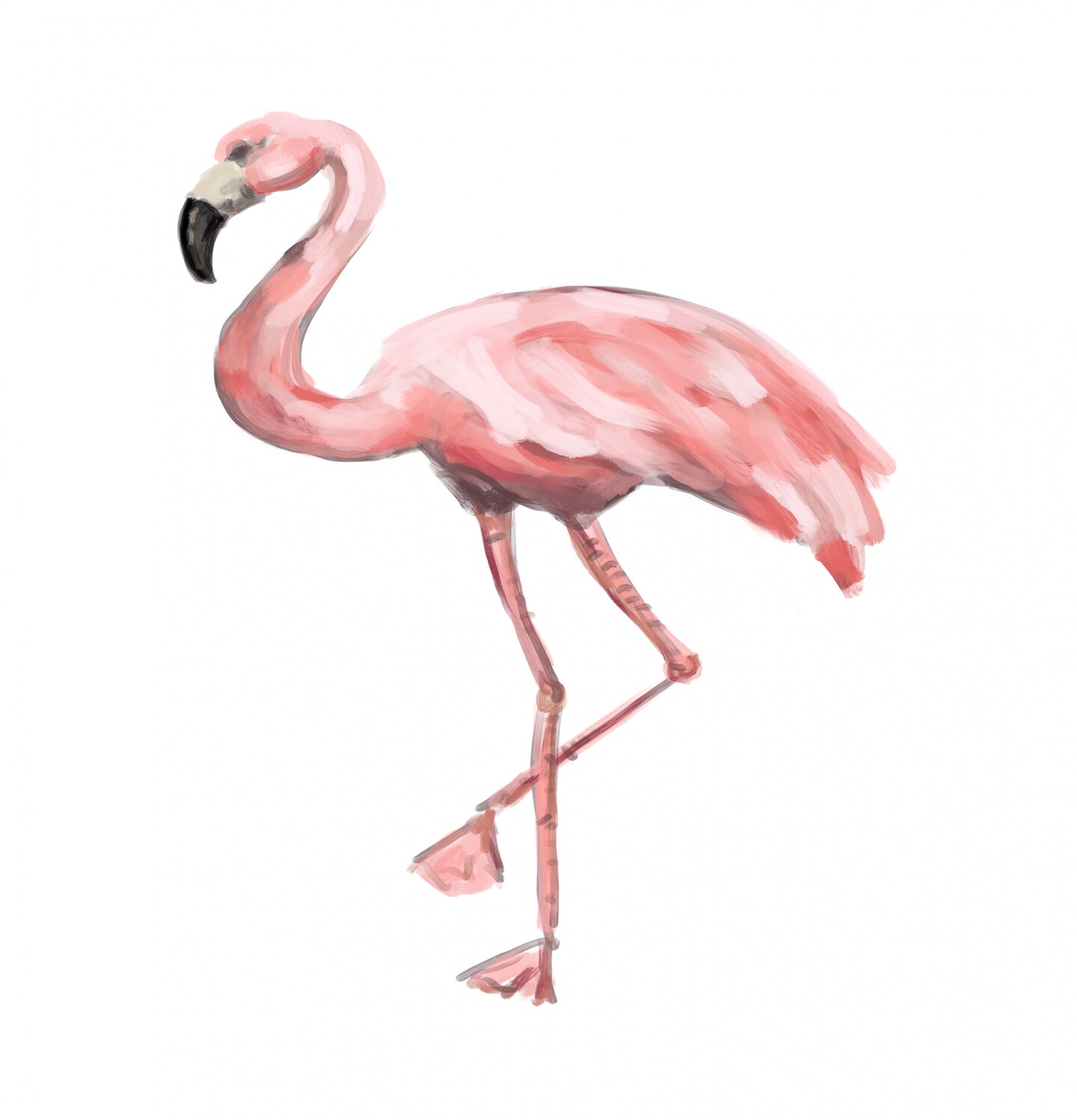 Pink Flamingo by Jetty Printables Shower Curtain 71&#x22; x 74&#x22;