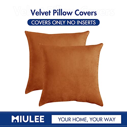 MIULEE Fall Pack of 2 Velvet Soft Solid Decorative Square Throw Pillow Covers Set Cushion Case for Sofa Bedroom Car 16x16 Inch 40x40 Cm Orange