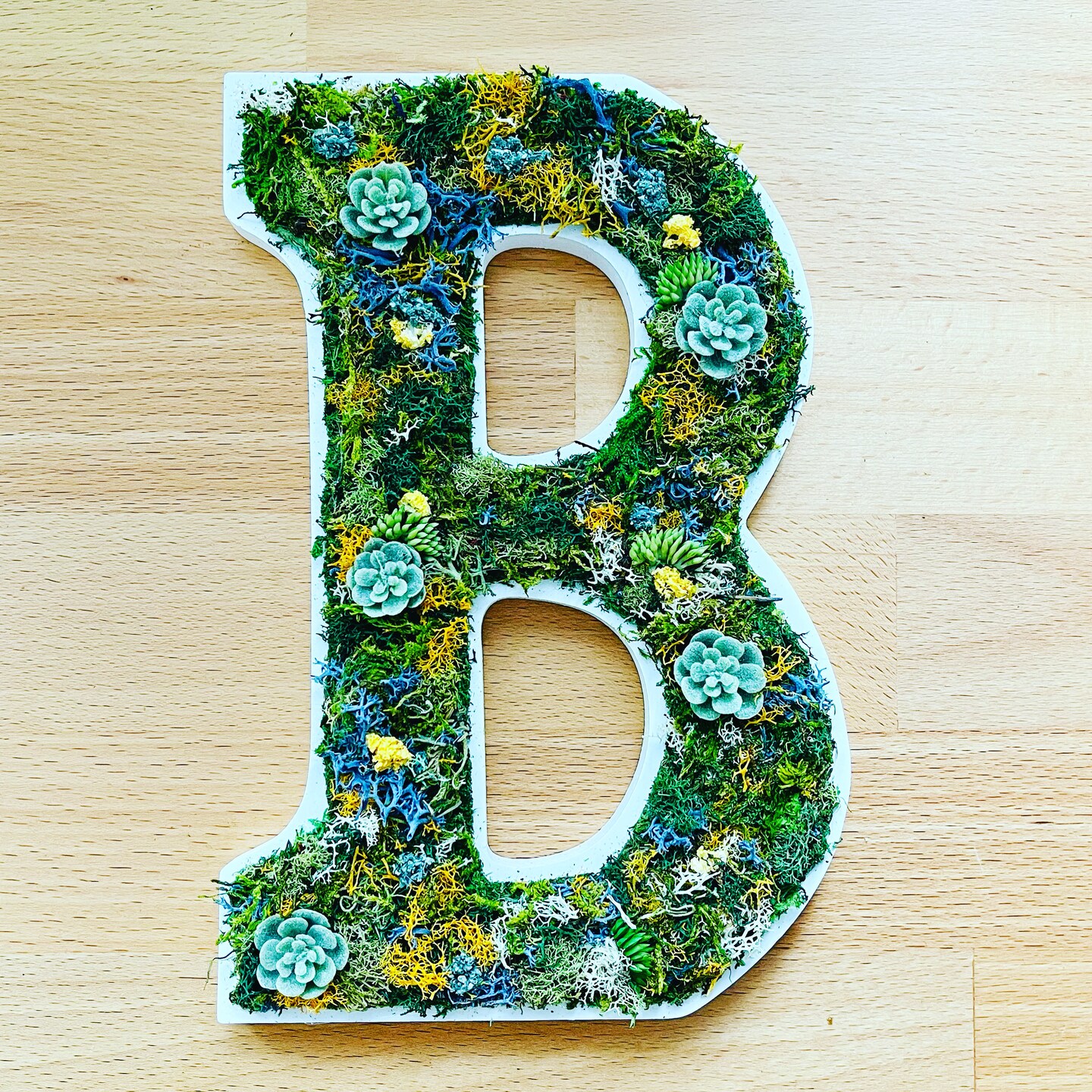 Preserved Moss Letter Wall Art, Plant Home Décor, Succulent Letters, Moss Wall Art, Gift for Her