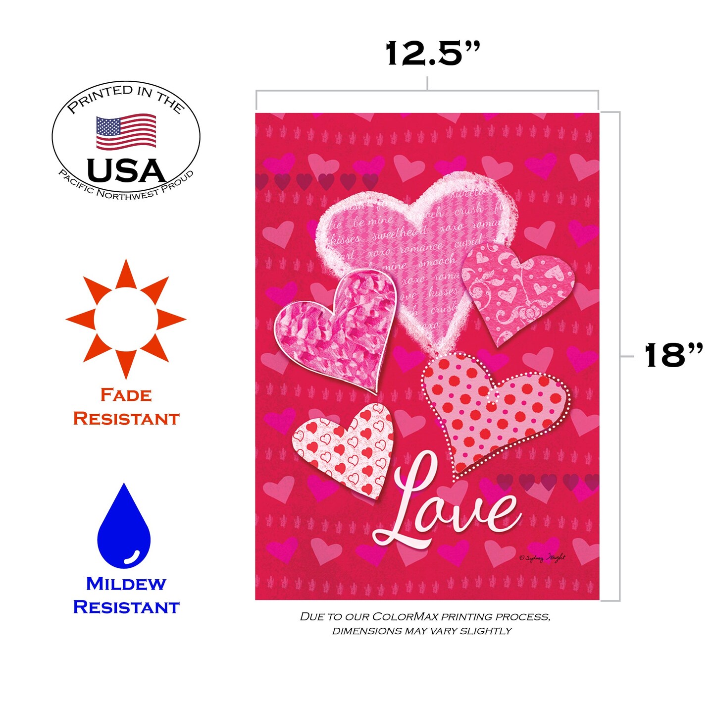 Whole Lotta Love Decorative Valentine Flag