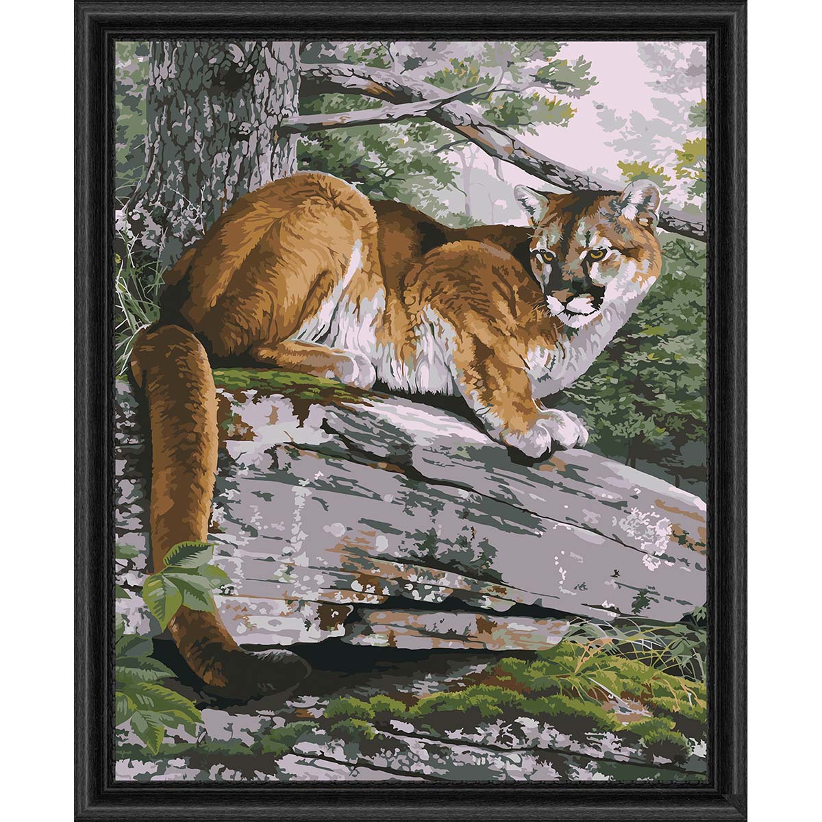 Herrschners  Eastern Cougar Paint-by-Number Kit