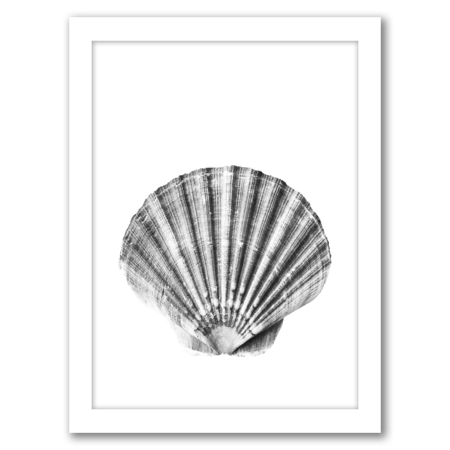 Sea Shell by Sisi And Seb Frame  - Americanflat
