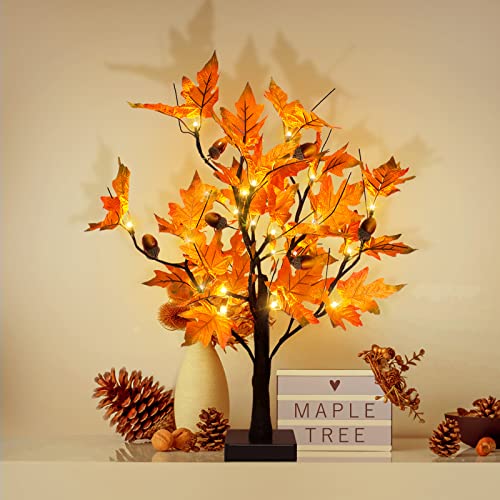 24-inch Fall Lighted Maple Tree with Acorns, 24 LED Lights, Battery Operated Thanksgiving Table Centerpieces Decoration Artificial Tree for Home Desktop Fireplace Autumn Harvest Tabletop Indoor Decor