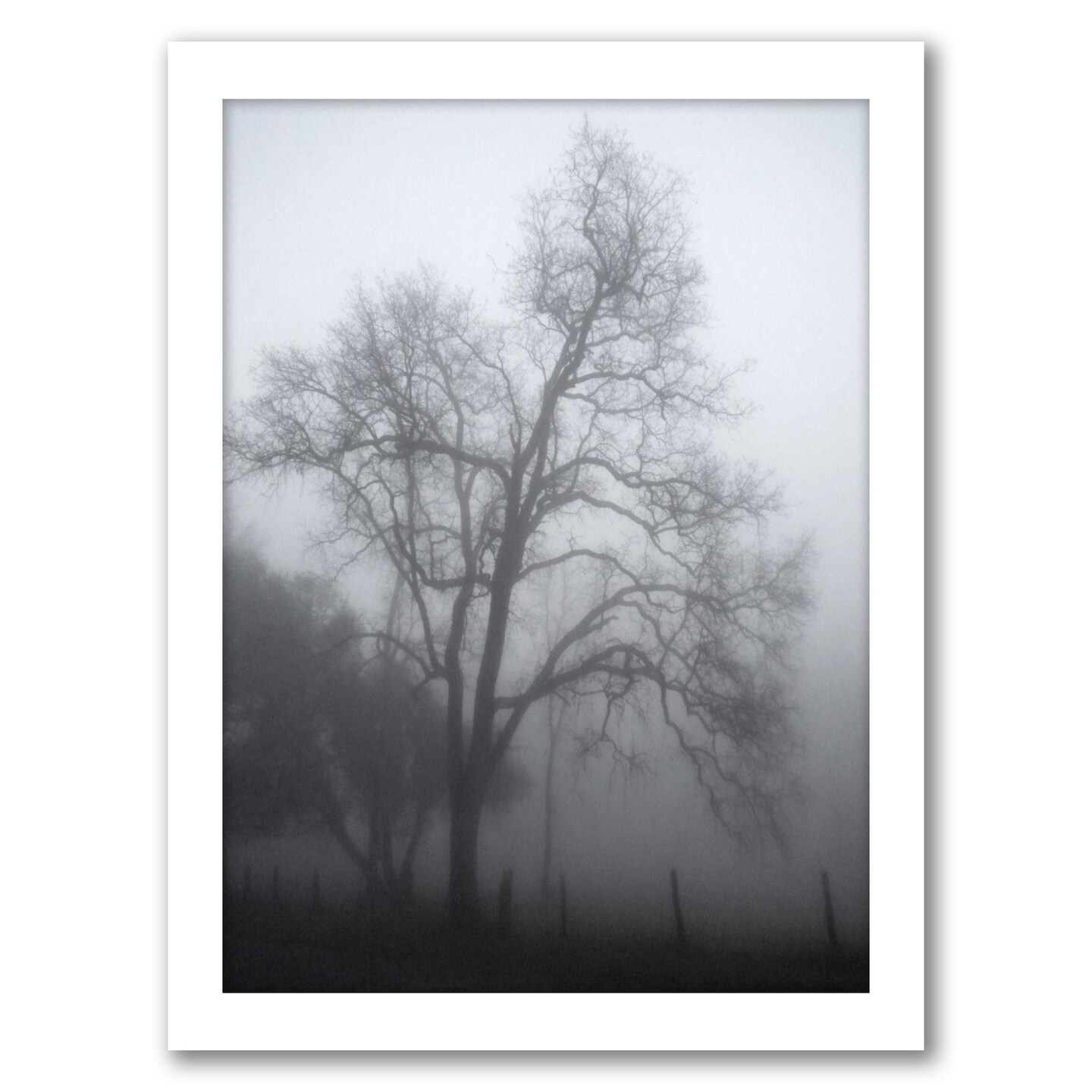 Misty Days by Hope Bainbridge Frame  - Americanflat