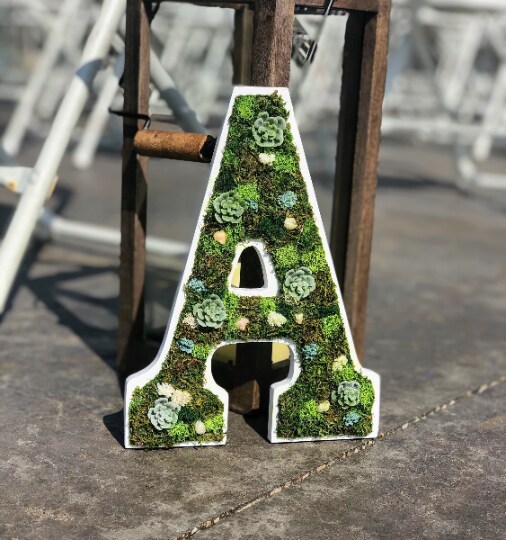 Preserved Moss Art Letters