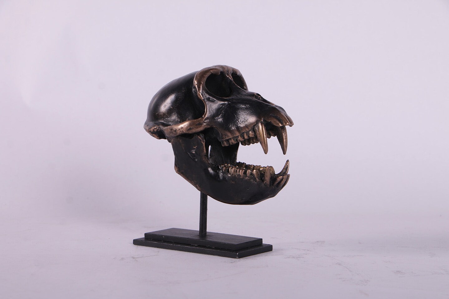 Monkey Macaque Skull Life Size Statue