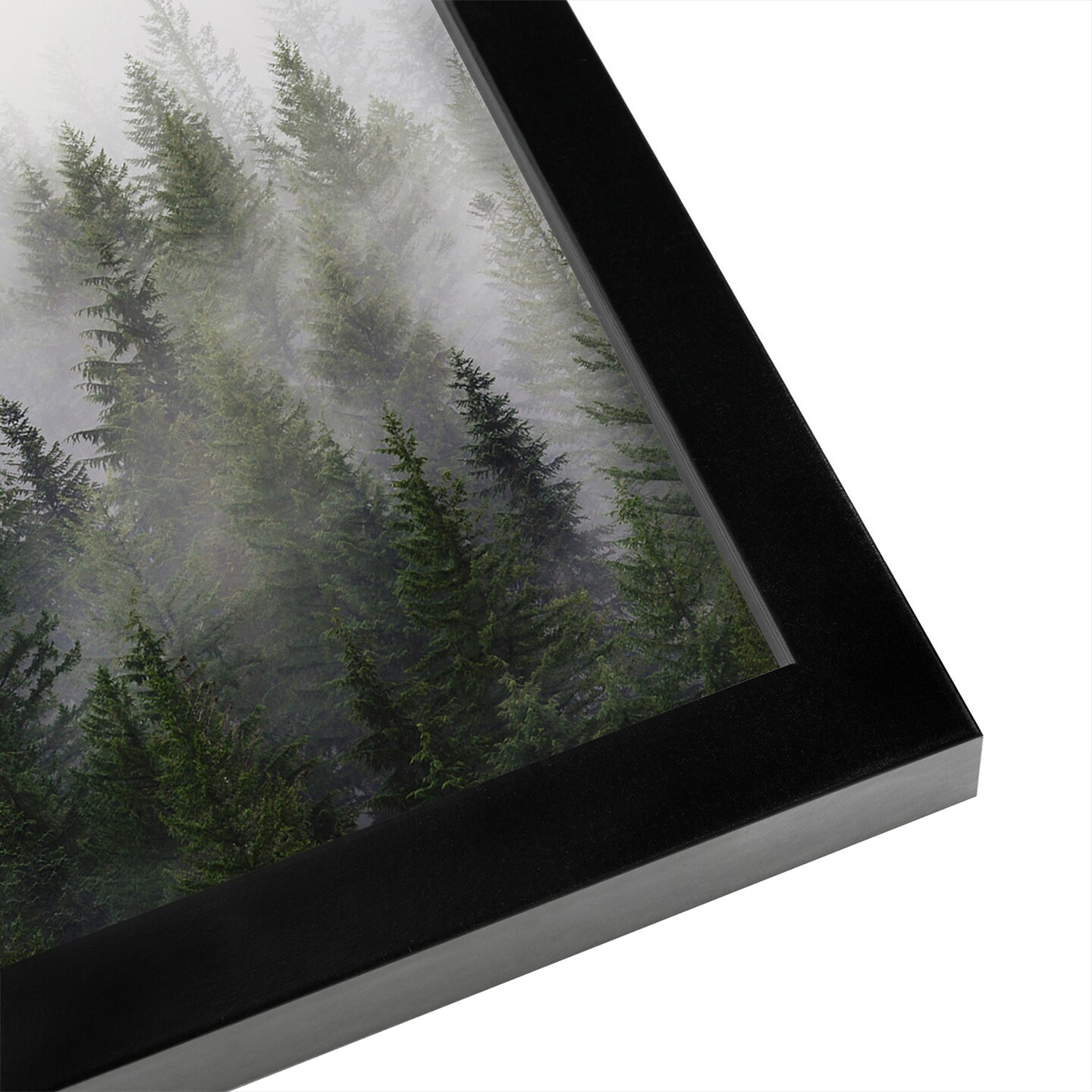 Misty Forest by Tanya Shumkina Frame  - Americanflat