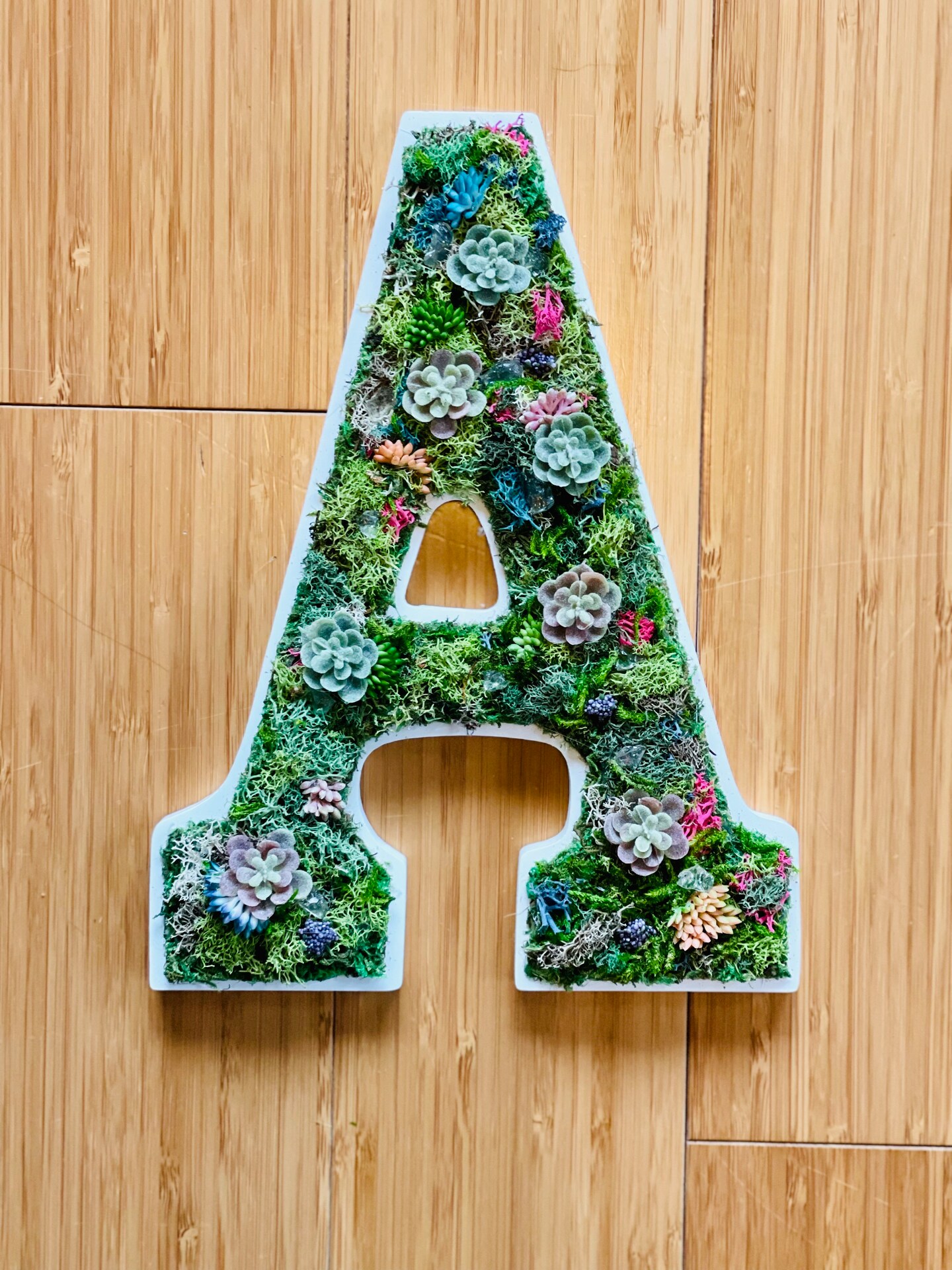 DIY Moss Art Letter Kit: Craft Your Personalized Nature-Inspired