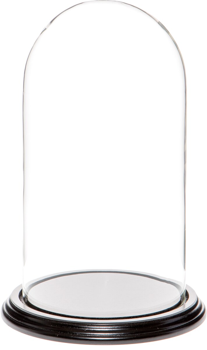 Plymor 5.5" x 10" Glass Display Dome Cloche Michaels