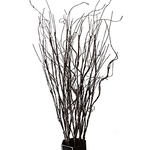 FeiLix 10PCS Lifelike Curly Willow Branches Decorative Dried