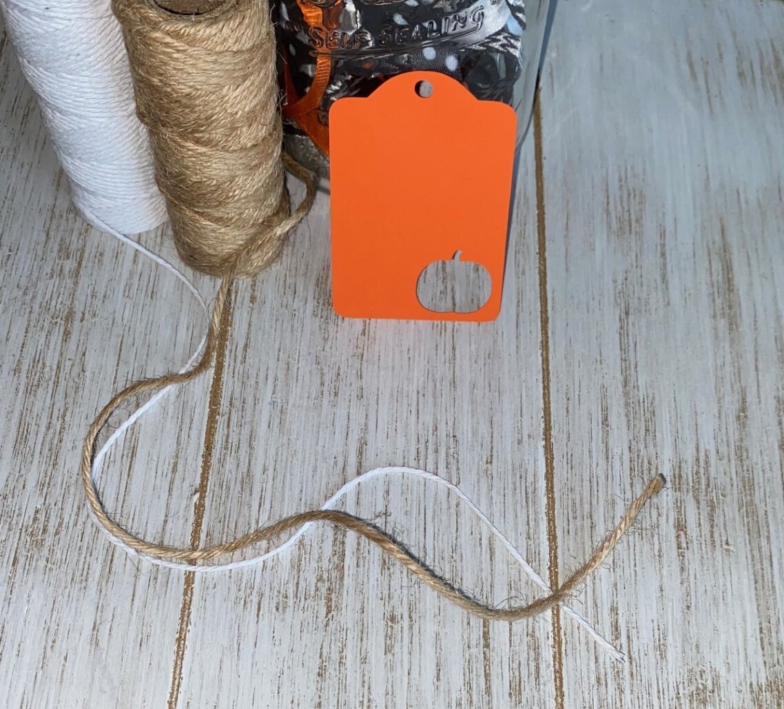 Pumpkin Thank you Tag Gift tag Favor Tags Customize Tag Color Set