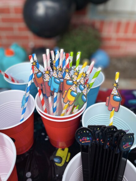 Among Us Birthday Party Plates Napkins Game Theme Among Us Party