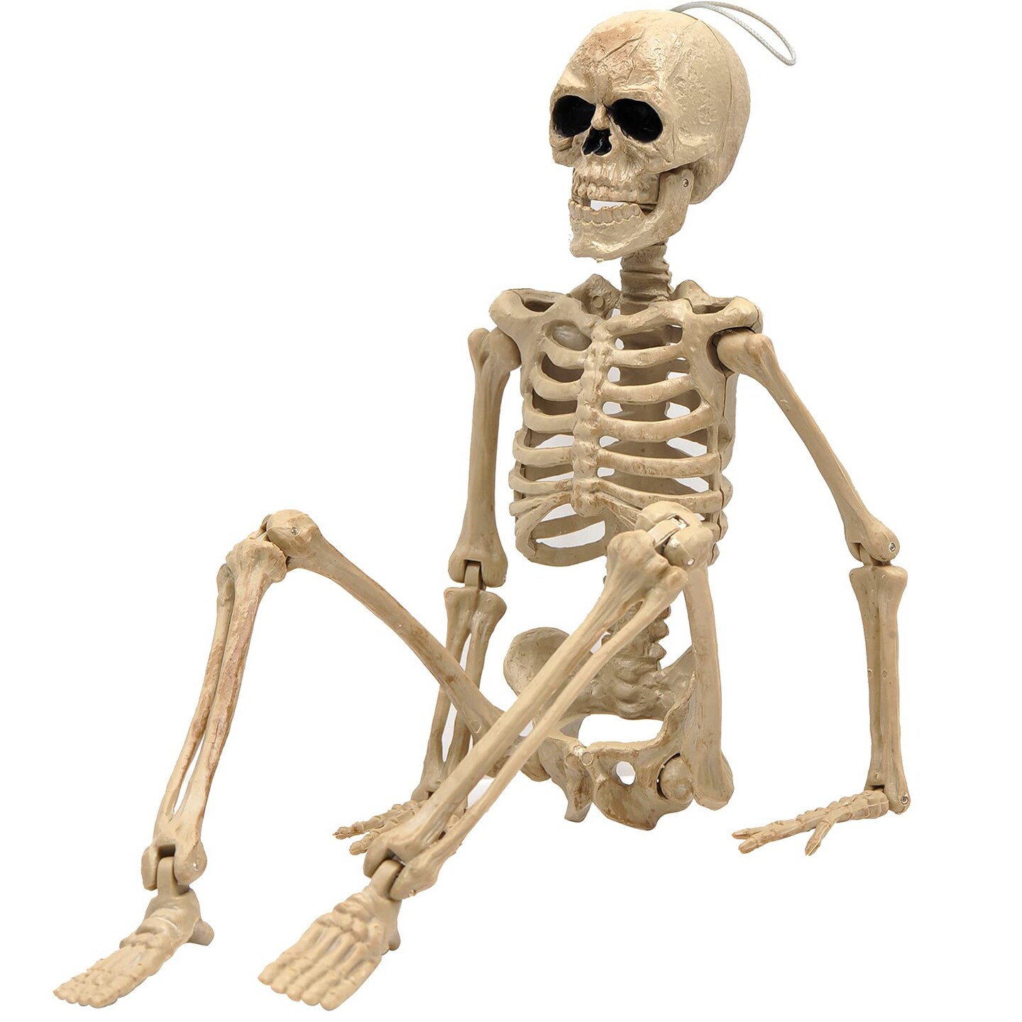 16&#x22; Halloween Skeleton,Full Body Skeleton with Posable Movable Joints for Haunted House Props Decorations