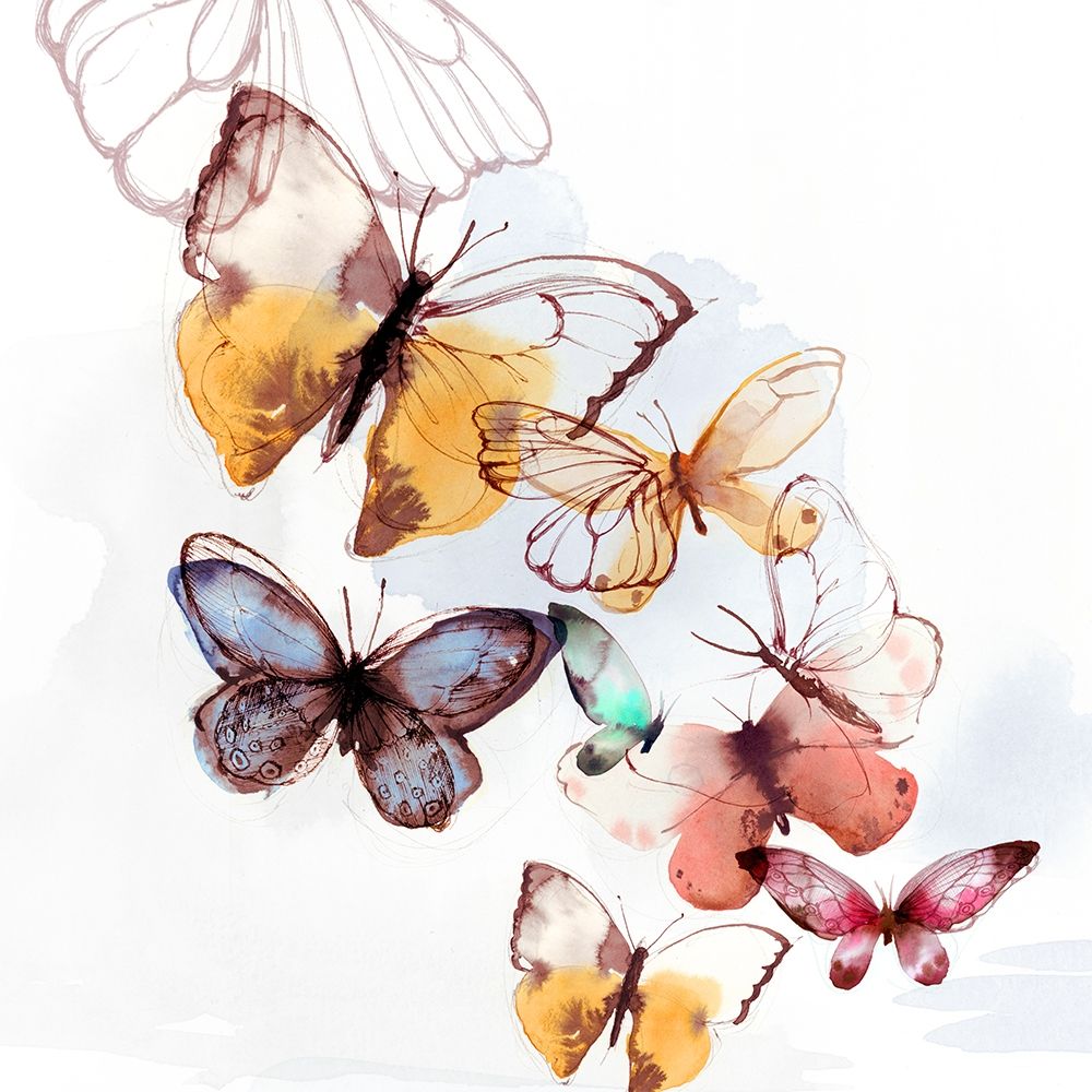 Butterfly Fly Away I  Poster Print by PI Studio PI Studio  # PX503A