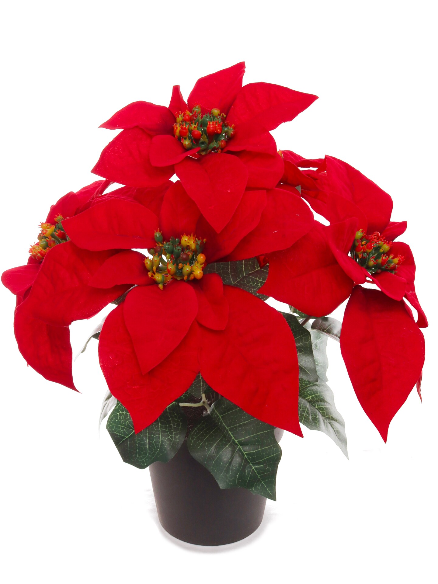 13" Red Velvet Poinsettia Bush in Black Pot with 5 Silk Flowers - Lifelike Holiday Decor for Tabletop & Mantel | Elegant Christmas Accent | Festive & Versatile Indoor Decoration - 2024 Christmas Collection, Floral Home by Artificial Flowers