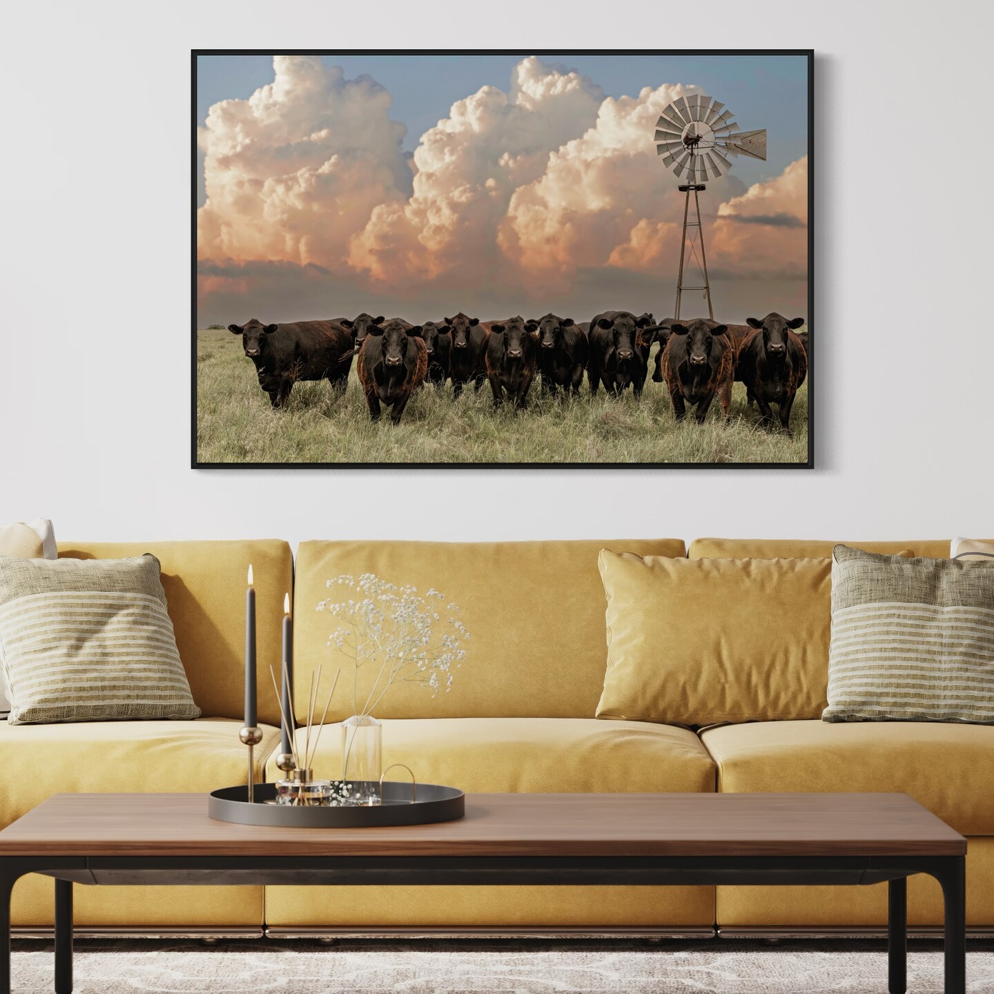 Vintage Windmill and Black Angus cattle, cow canvas photo wall art