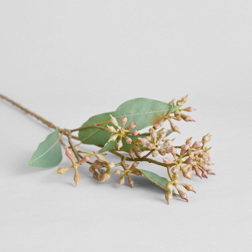 Summer EcoFaux Eucalyptus Seed Branch by Bloomist