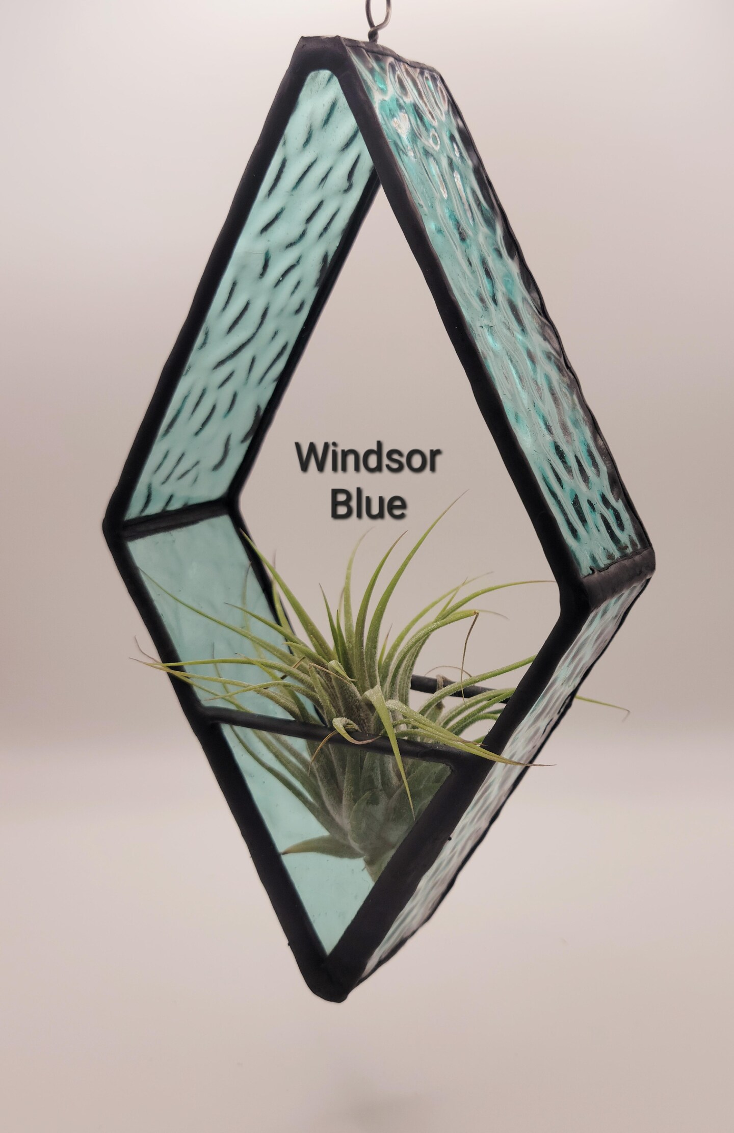 Hanging Glass Planter - Air Plant Included | MakerPlace by Michaels