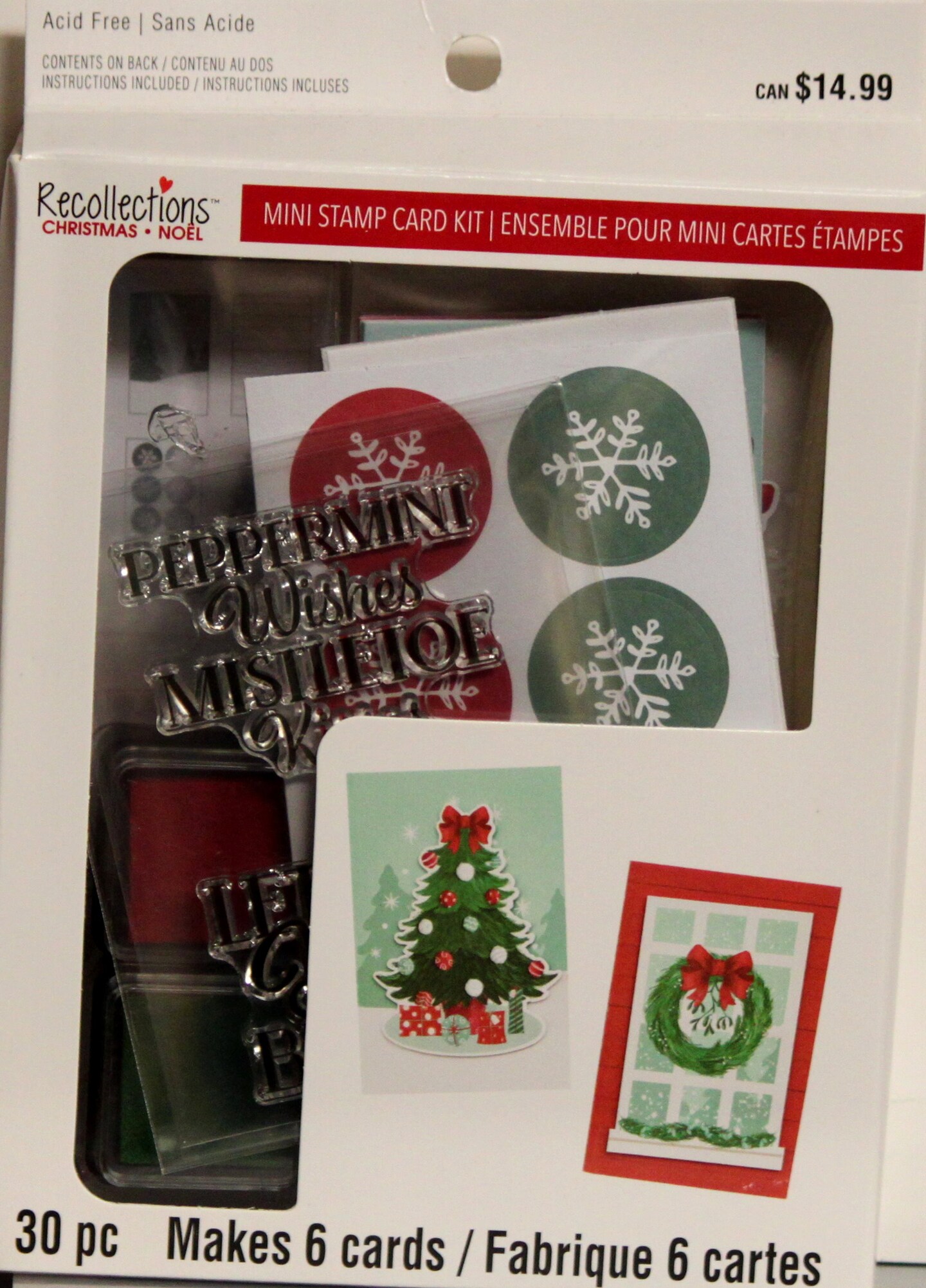 Recollections Christmas Mini Stamp Card Kit | Michaels