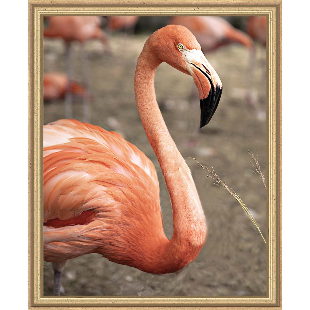Flamingo Canvas Painting Kit