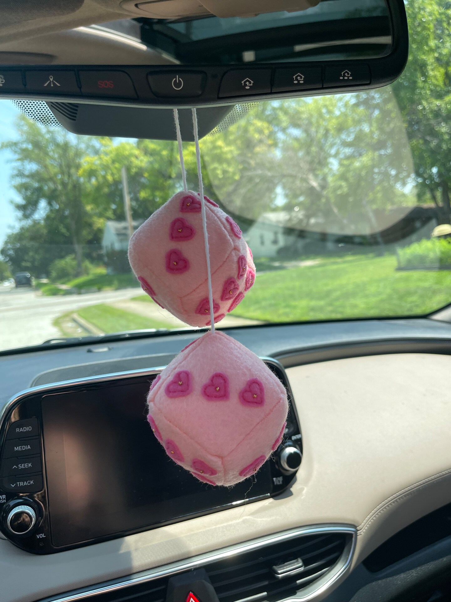 Buy Pink Fish Cute Car Accessories, Front Seat Covers New Car Gifts for  Him, Auto Covers Online in India - Etsy