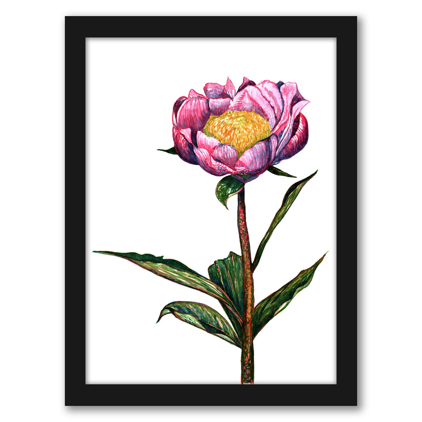 Pink Peony by T.J. Heiser Frame  - Americanflat