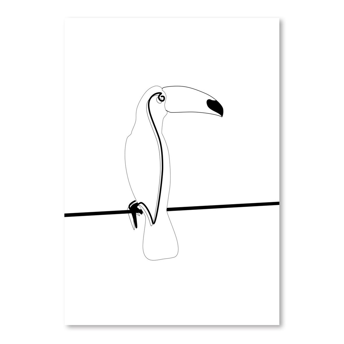 toco toucan line drawing