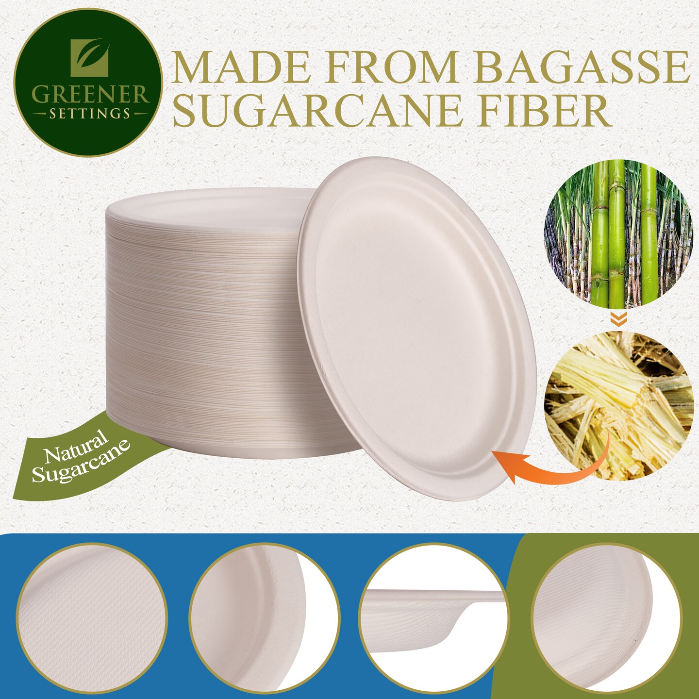Compostable Disposable 9 Inch Paper Plate (125 Pack)
