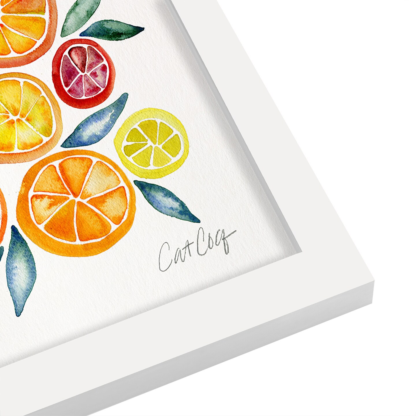 Citrus Slices by Cat Coquillette Frame - Americanflat