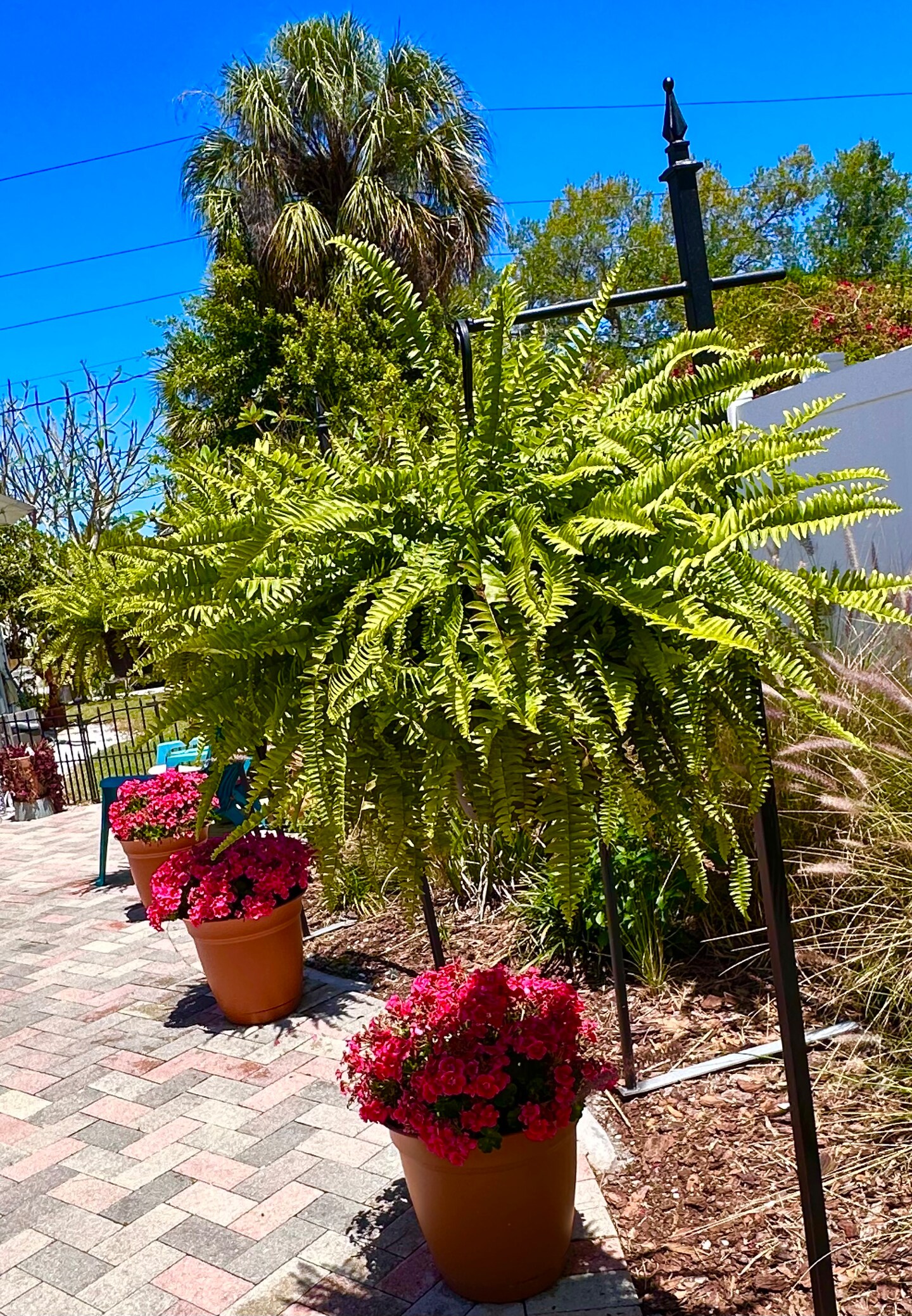 French Quarter Metal Hanging Plant Hook, 60 high Shepherd's Hook, Large Hanging  Basket Staked Plant Stand, Multiple Color Options | MakerPlace by Michaels