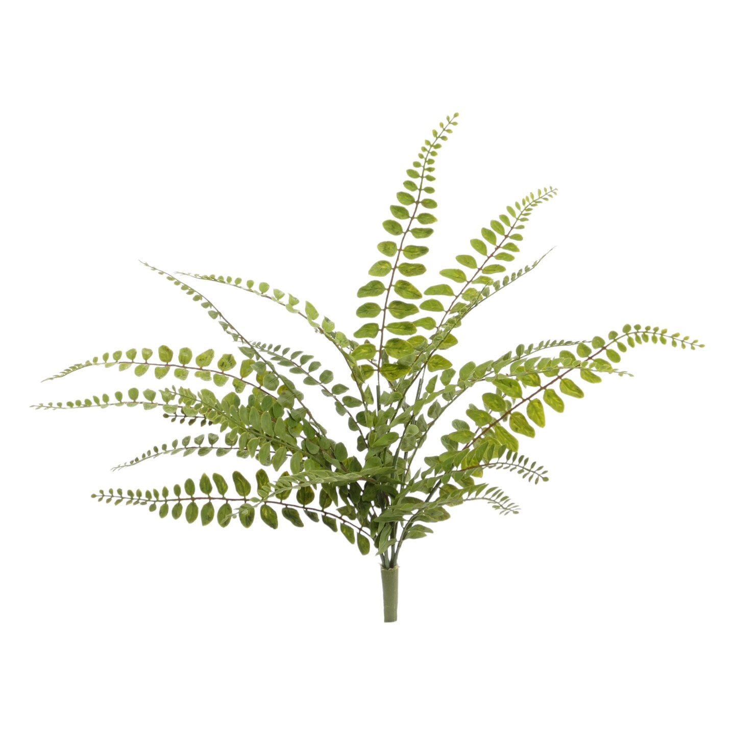 12-Pack: 18&#x22; UV Realistic Buckler Fern Bush with 7 Sprays by Floral Home&#xAE;