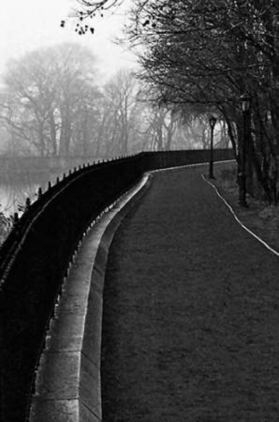 Central Park Endless Path Poster Print by Jace Grey - Item # VARPDXJPIRC018G