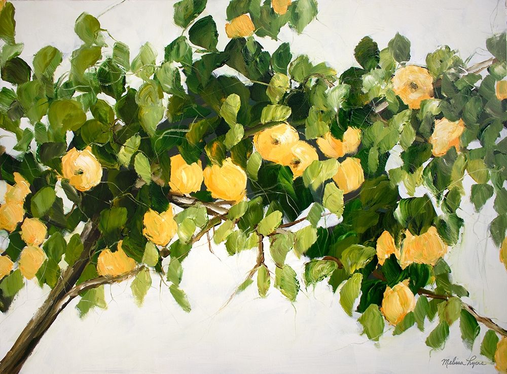 Lemon Tree Poster Print by Melissa Lyons - Item # VARPDXML1522
