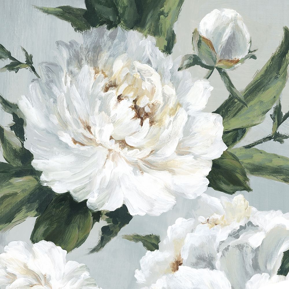 Large Peonies II Poster Print by Eva Watts # EW616A