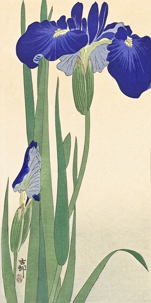 Irises Poster Print by Ohara Koson # 2JP5032