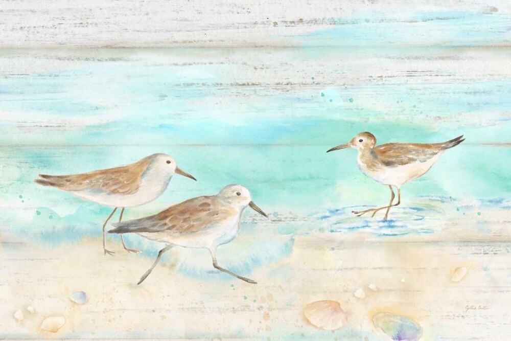 Sandpiper Beach Landscape Poster Print by Cynthia Coulter - Item # VARPDXRB11886CC
