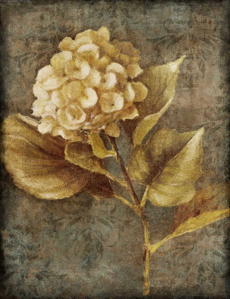 Antique Hydrangea II Poster Print by Lanie Loreth - Item # VARPDX8486B