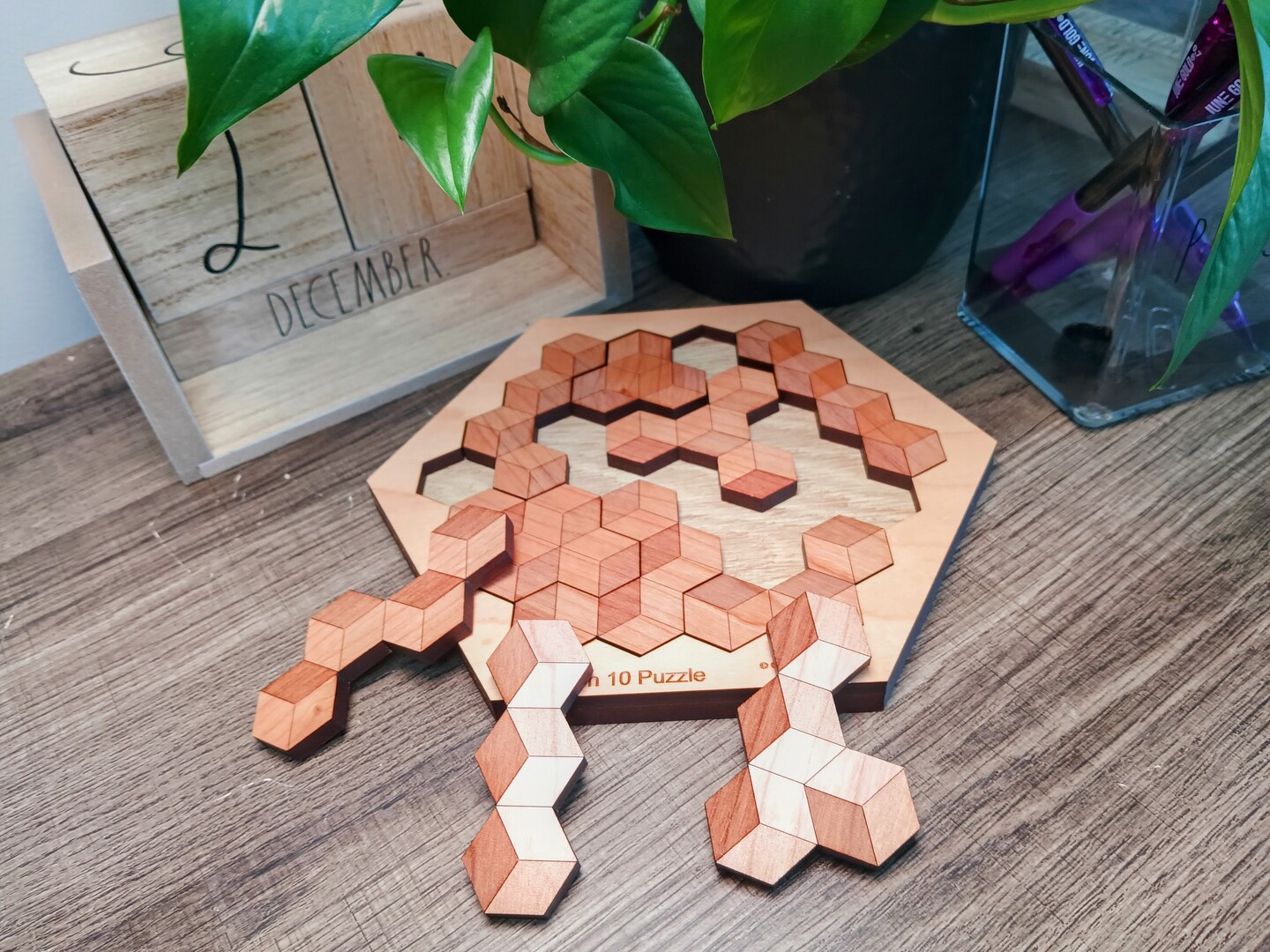 Brain Teaser Wooden Jigsaw Puzzle 