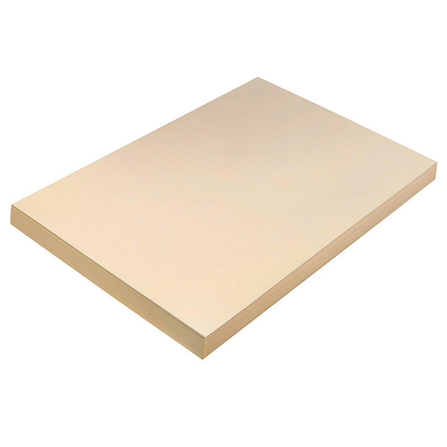 Heavyweight Tagboard, Manila, 12&#x22; x 18&#x22;, 100 Sheets
