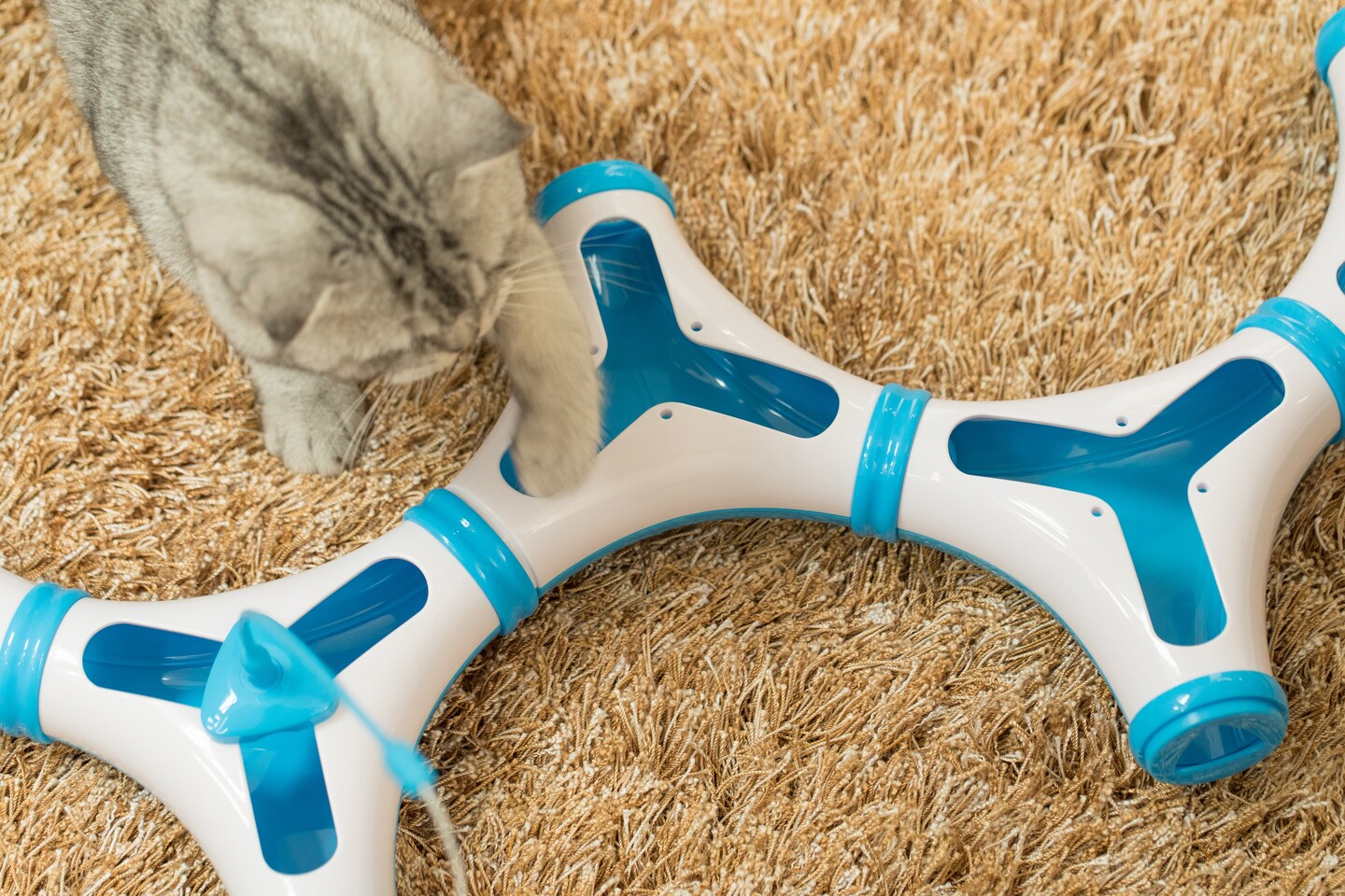 Configurable Interactive Cat Toy with Spring Feather Teaser